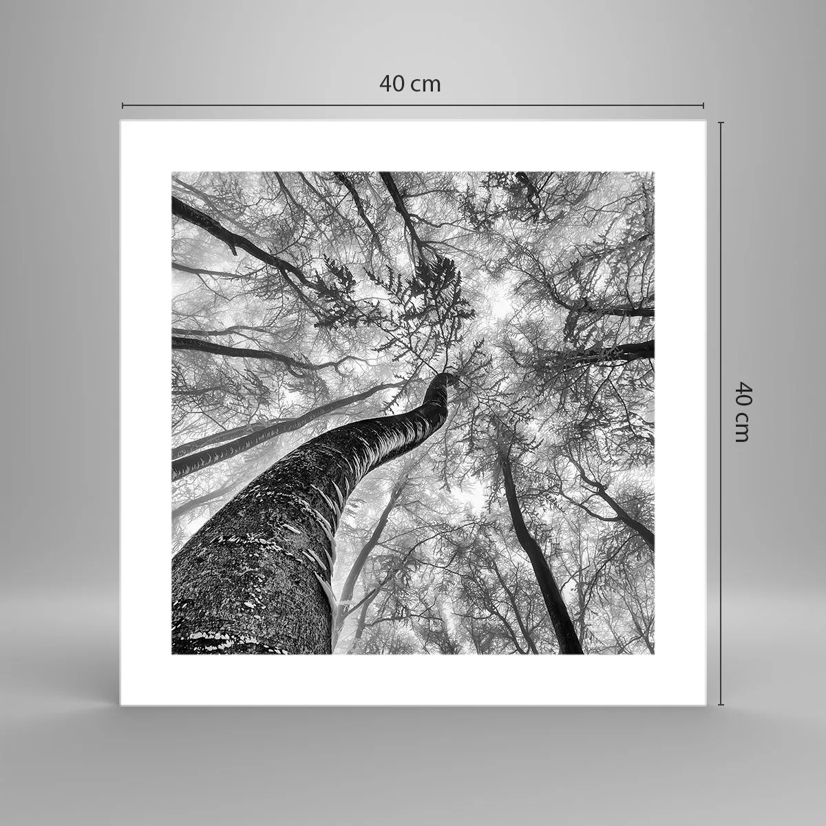 Poszter - Verseny a fény felé - 40x40 cm