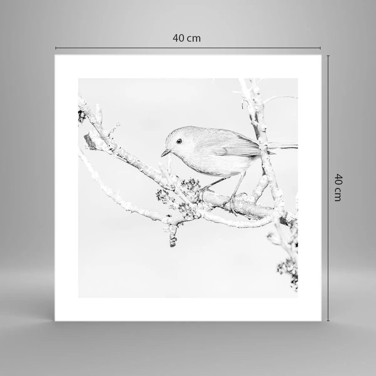 Poster - Wintermorgen - 40x40 cm