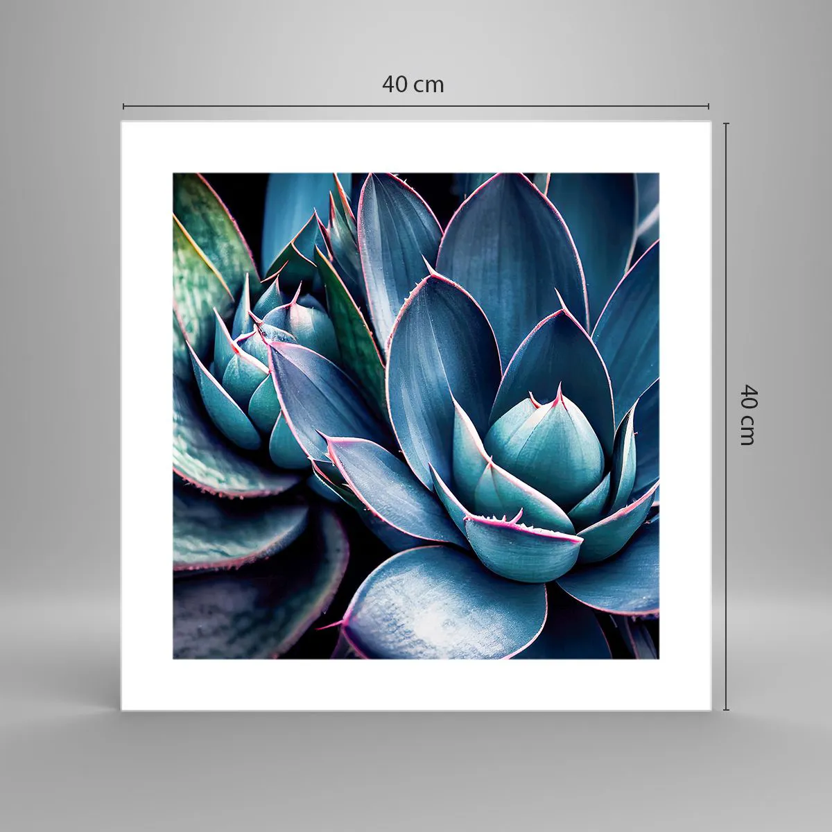 Poster - Levenskracht - 40x40 cm