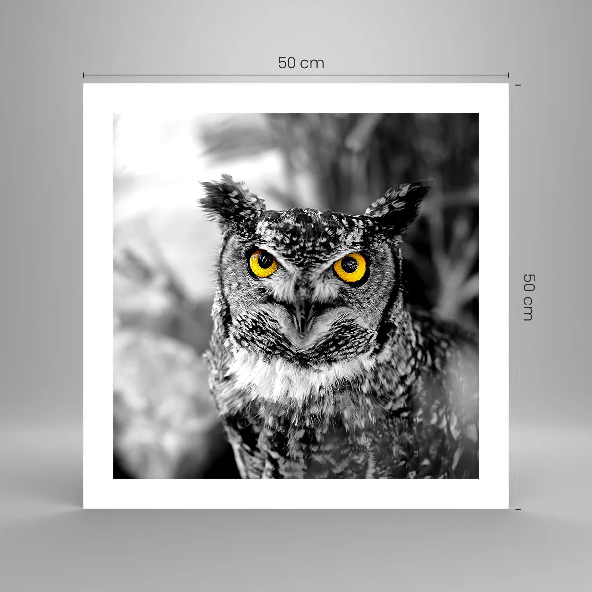 Poszter - Semmi sem fog elbújni - 50x50 cm