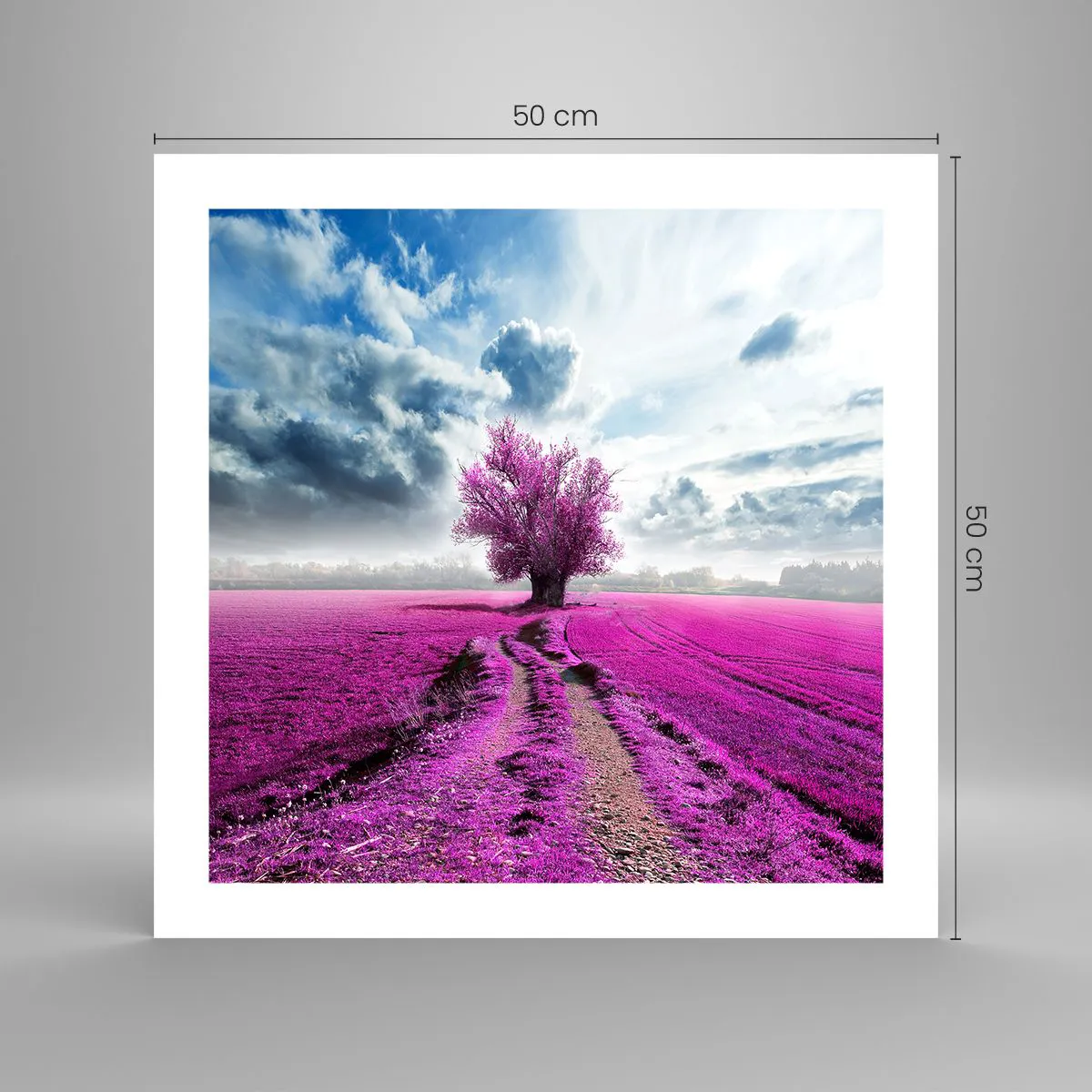 Poster - Câmpul cu iarbă neagră - 50x50 cm