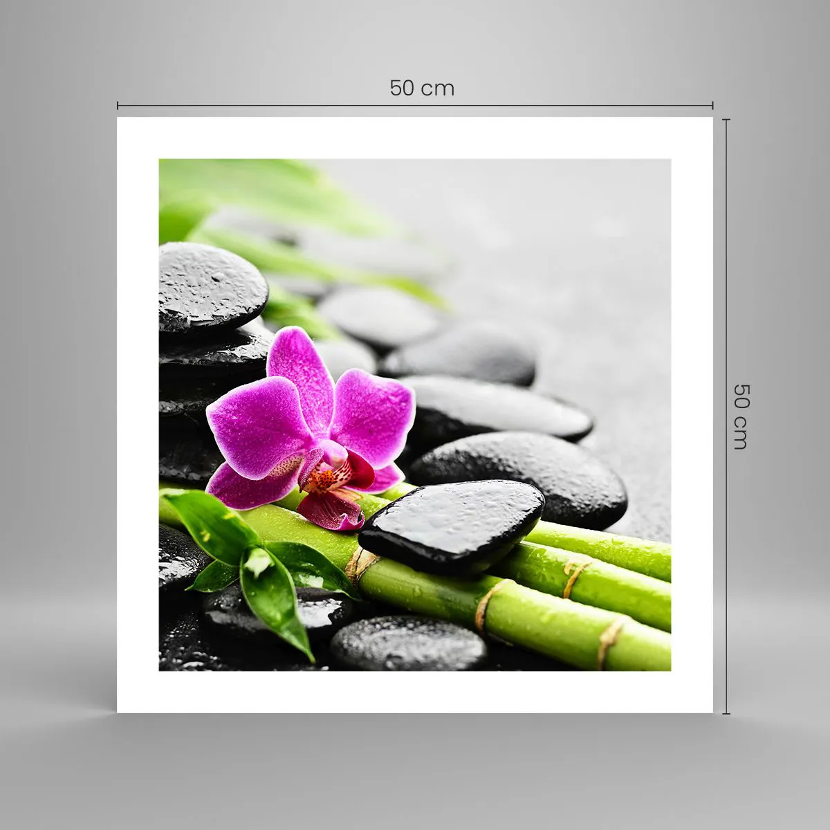 Poster - Într-un echilibru pașnic - 50x50 cm