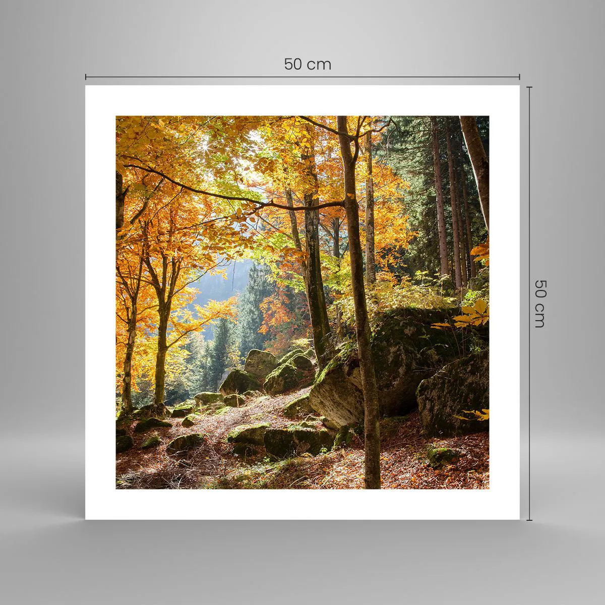 Poster - Time for Rest - 50x50 cm