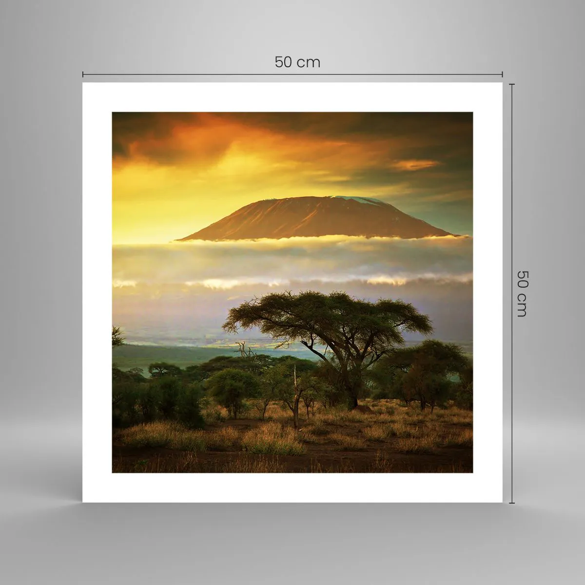 Plakat - Sen podróżnika - 50x50 cm