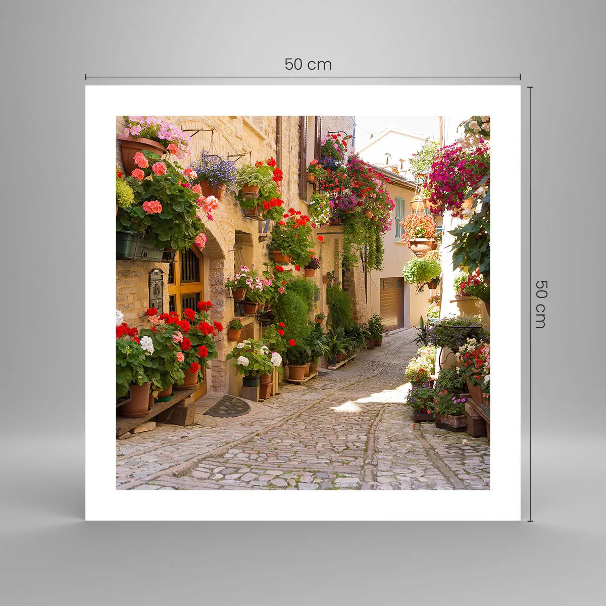 Plagát - V záplave kvetov - 50x50 cm