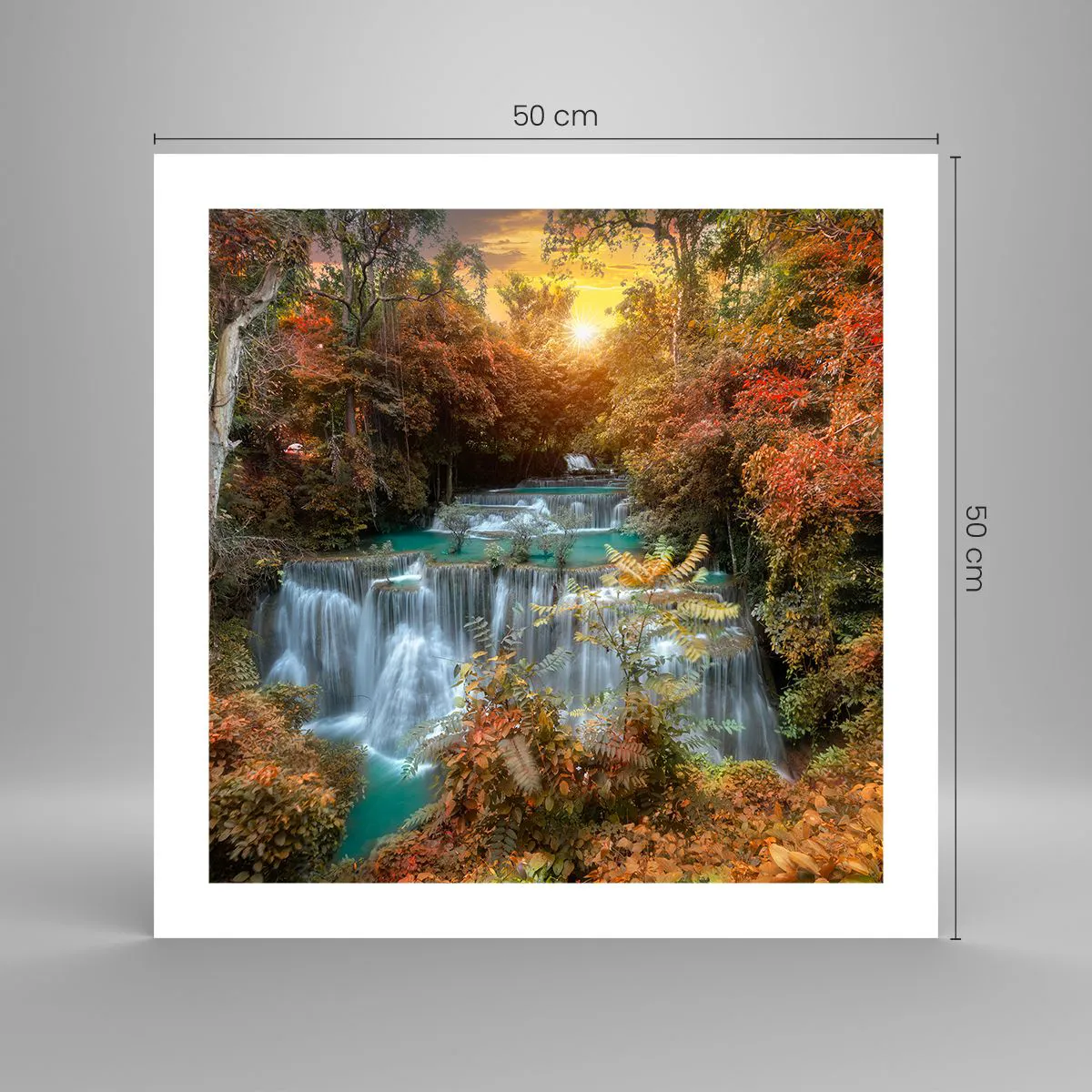Poster - Versteckter Schatz des Waldes - 50x50 cm
