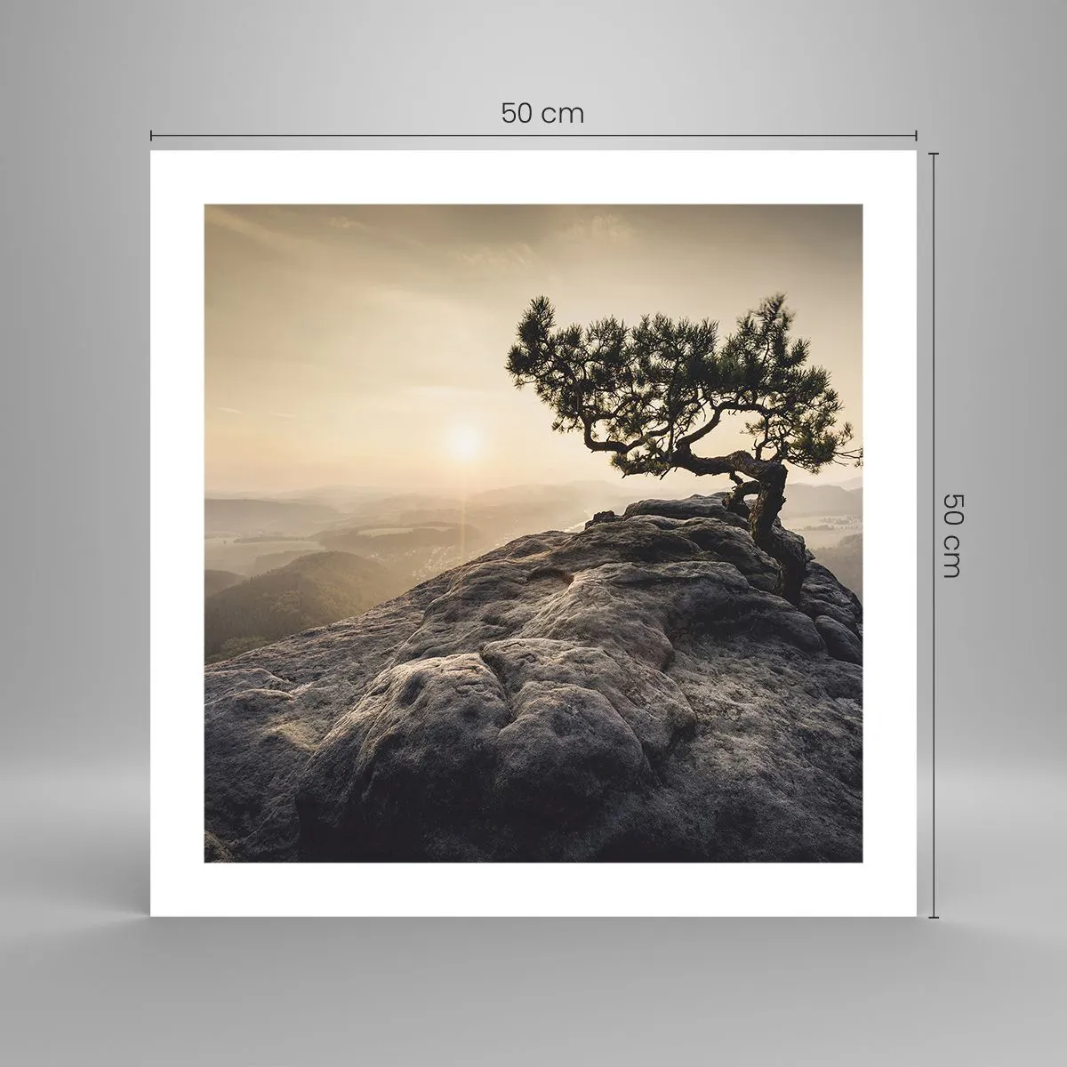 Poster - Het leven wint altijd - 50x50 cm