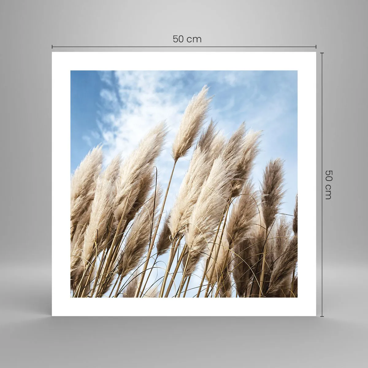 Plakát - Slunečné a větrné pohlazení - 50x50 cm