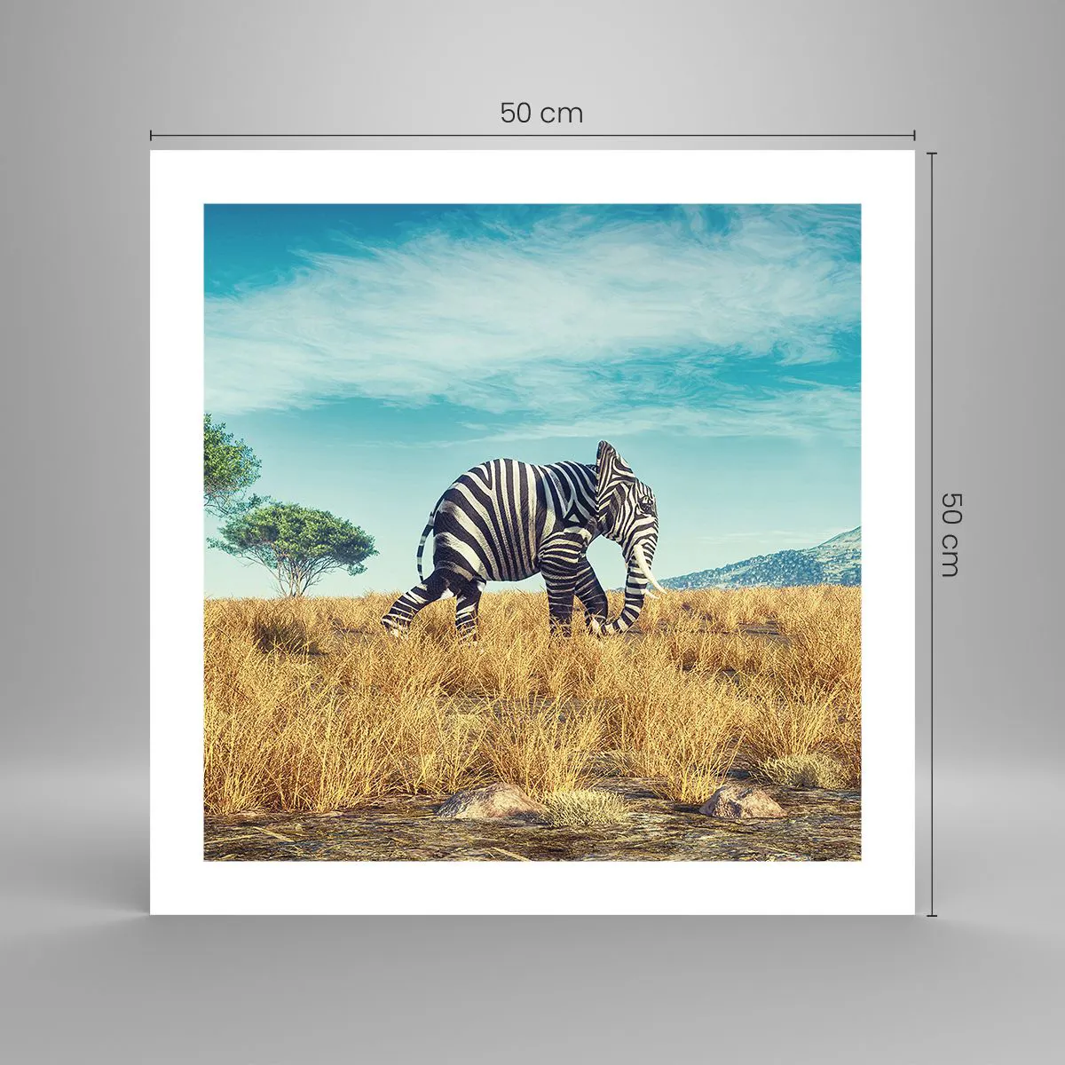 Poster - Grau ist nicht mehr in Mode - 50x50 cm