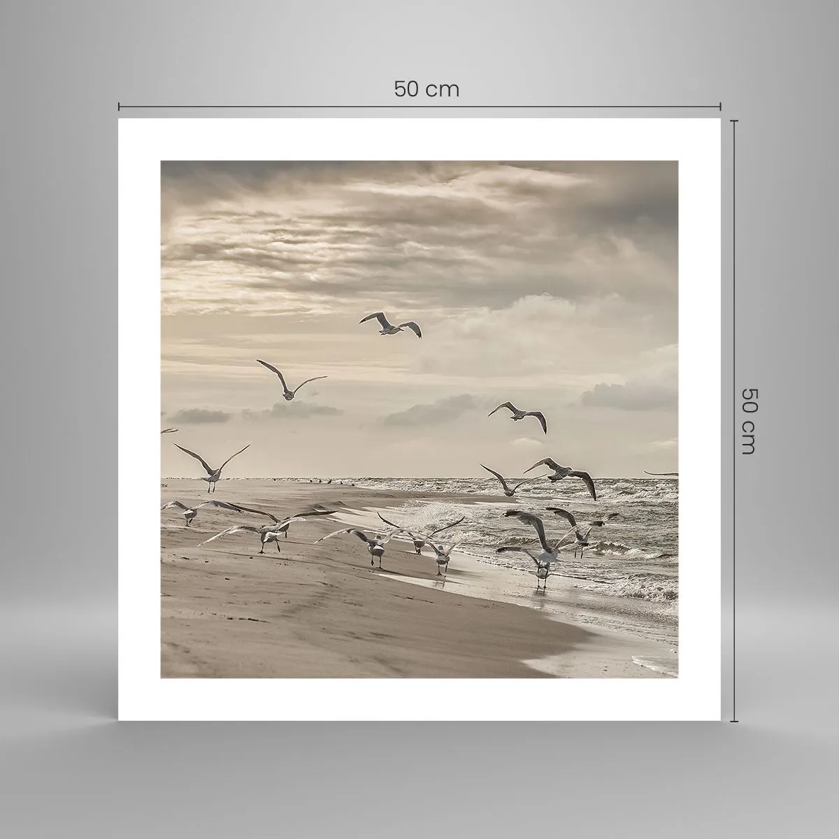 Pôster - O som do mar, o canto dos pássaros - 50x50 cm