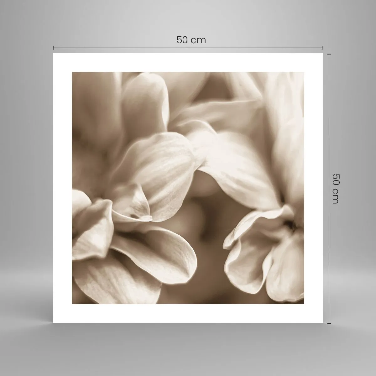 Affiche - Poster - Doux comme un sourire - 50x50 cm