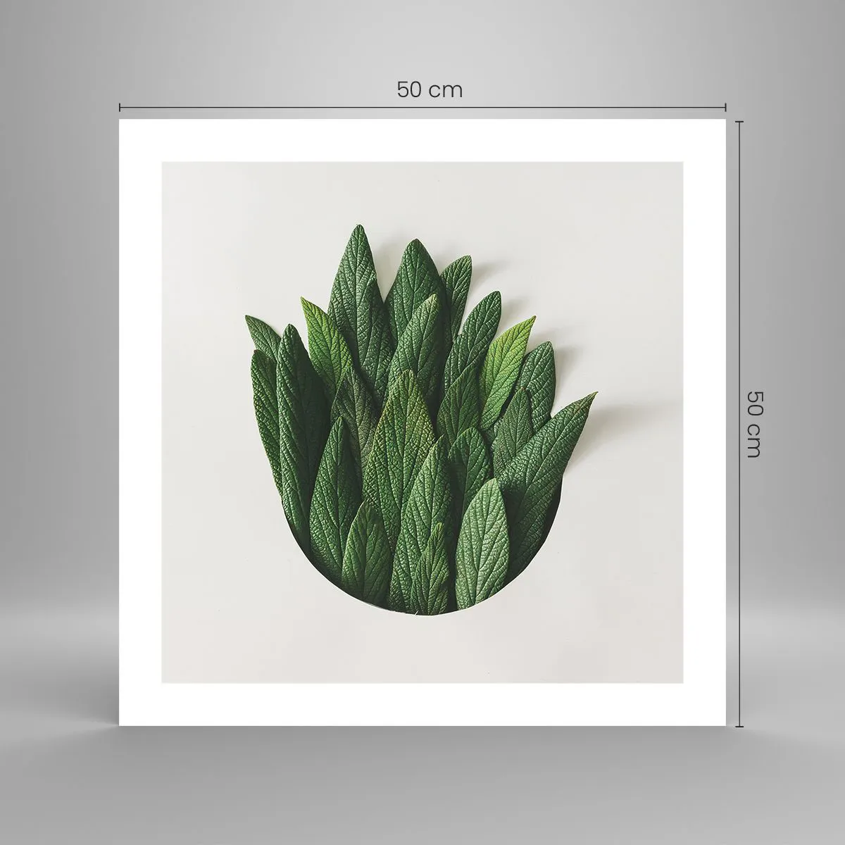 Affiche - Poster - Curiosité sans retenue - 50x50 cm