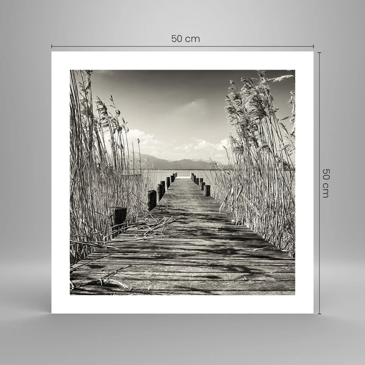 Affiche - Poster - Dans le calme de l'herbe - 50x50 cm