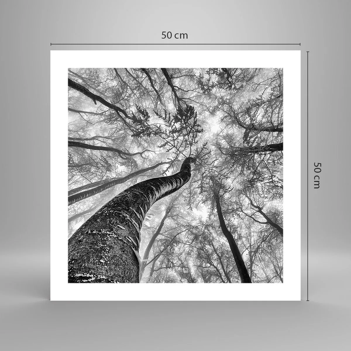 Plakat - Kapløb mod lyset - 50x50 cm