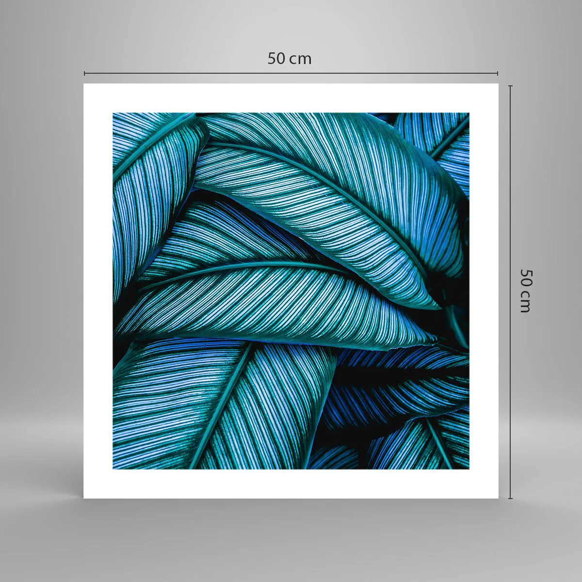 Poster - Lebenslinien - 50x50 cm