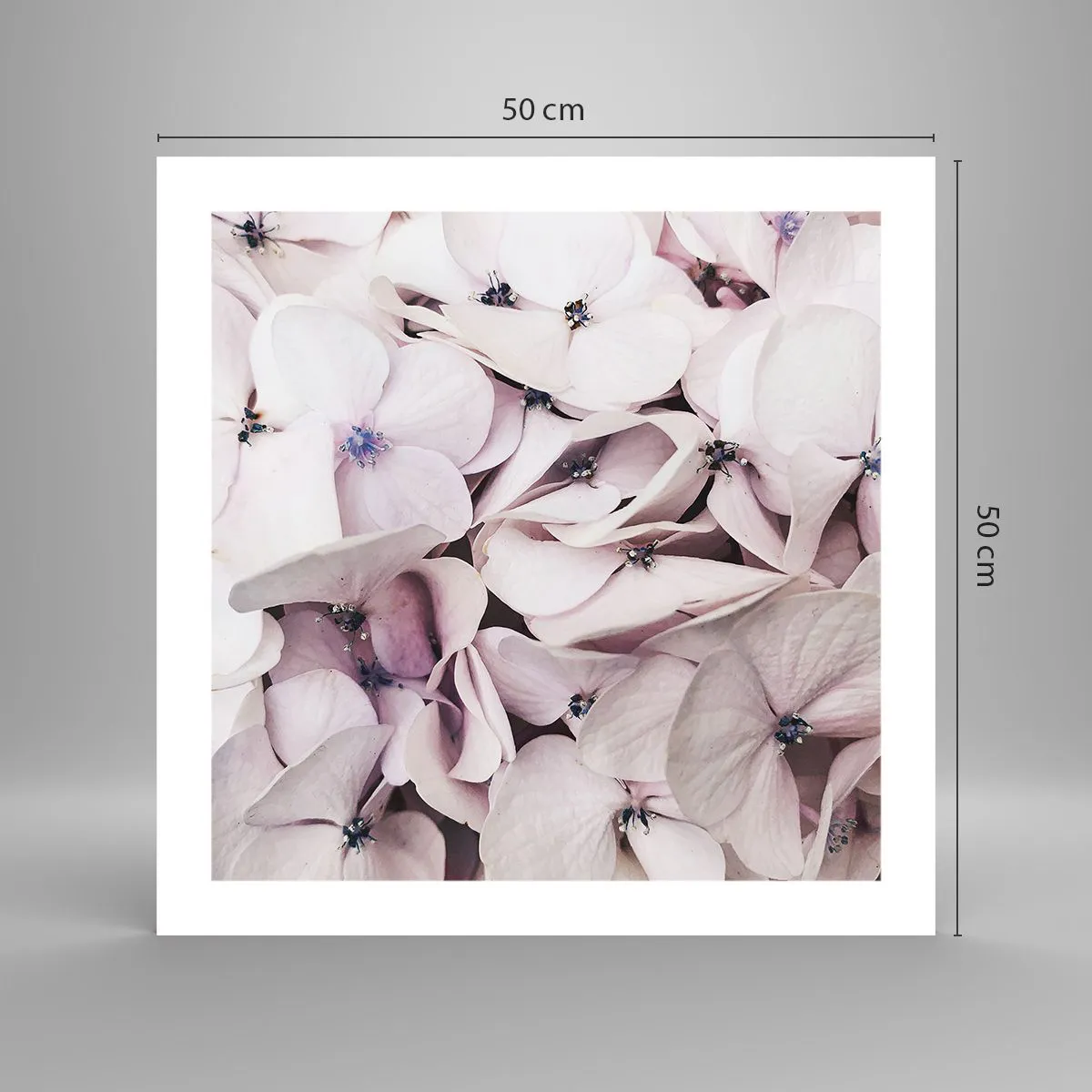 Poster - In einer Blumenflut - 50x50 cm