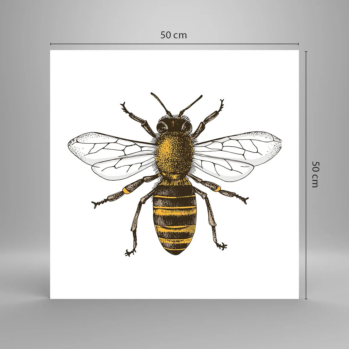 Plakát - Krásná a dobrá - 50x50 cm