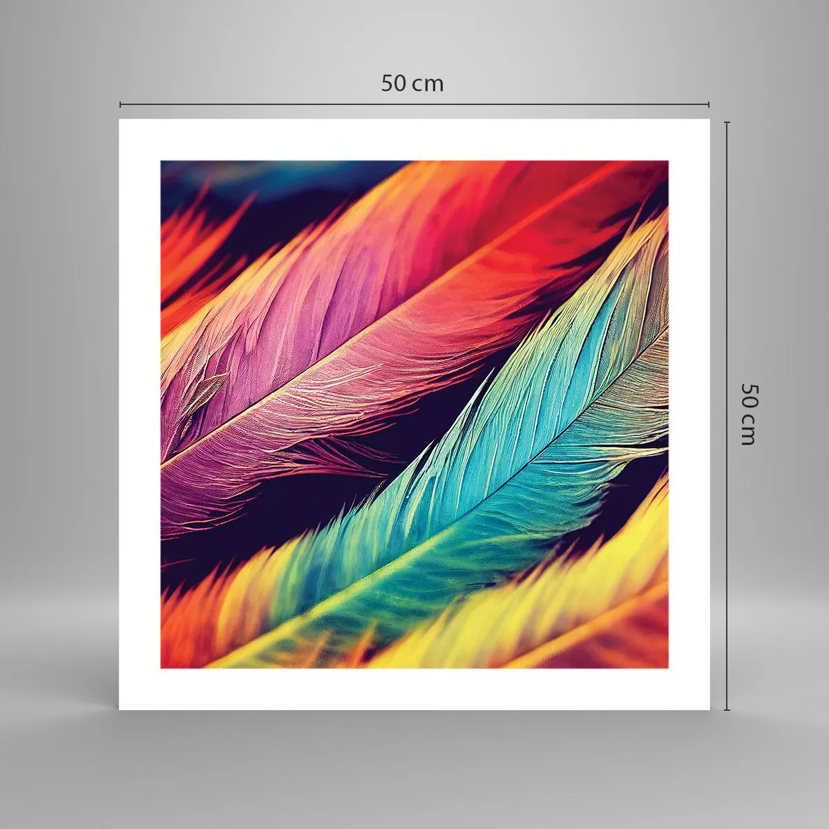 Affiche - Poster - Arc-en-ciel de plumes - 50x50 cm