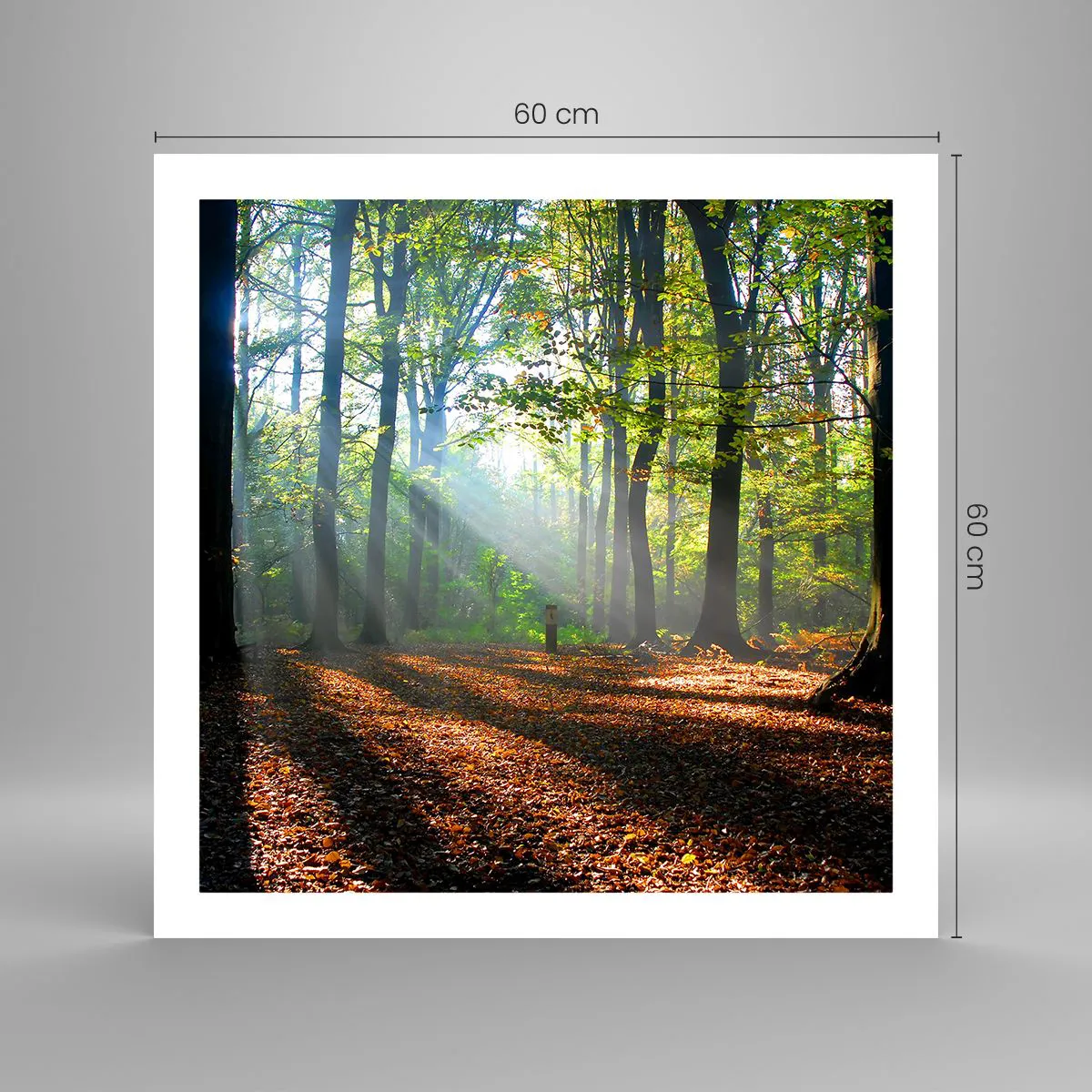 Poszter - Ragyogások és árnyékok - 60x60 cm