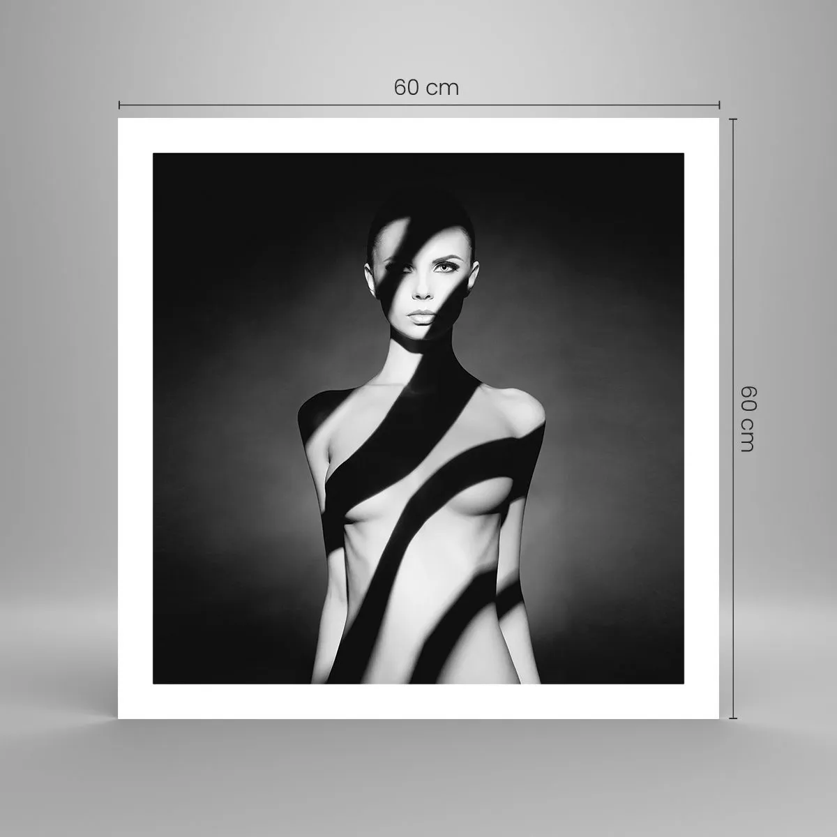 Affiche - Poster - Dans la brillance et l'ombre - 60x60 cm