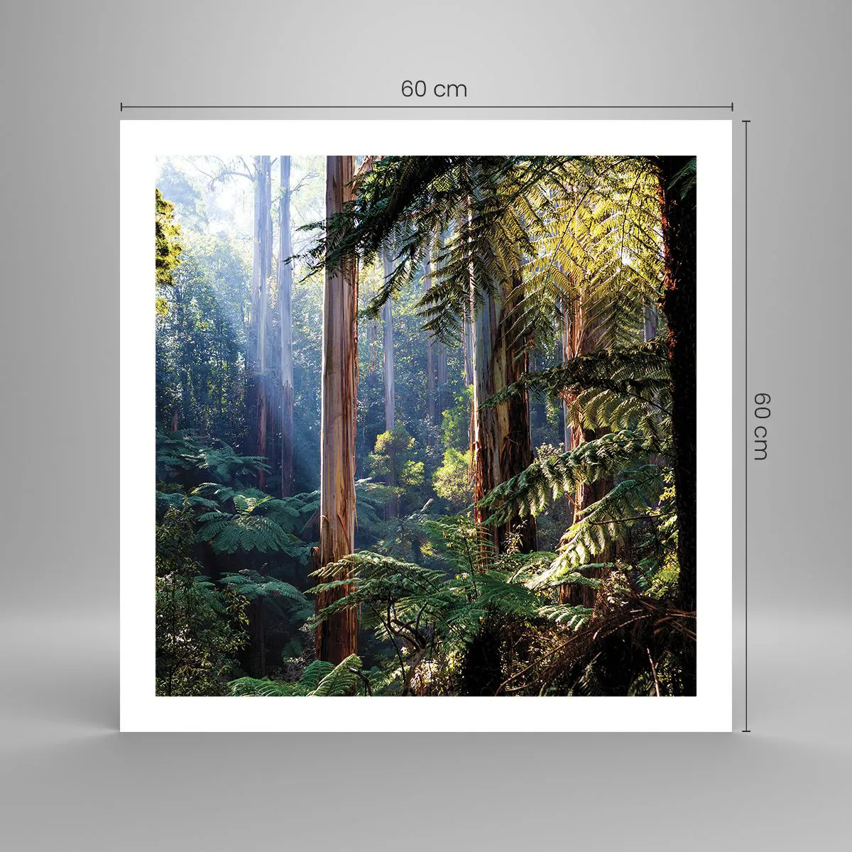 Plakát - Povídka lesa - 60x60 cm