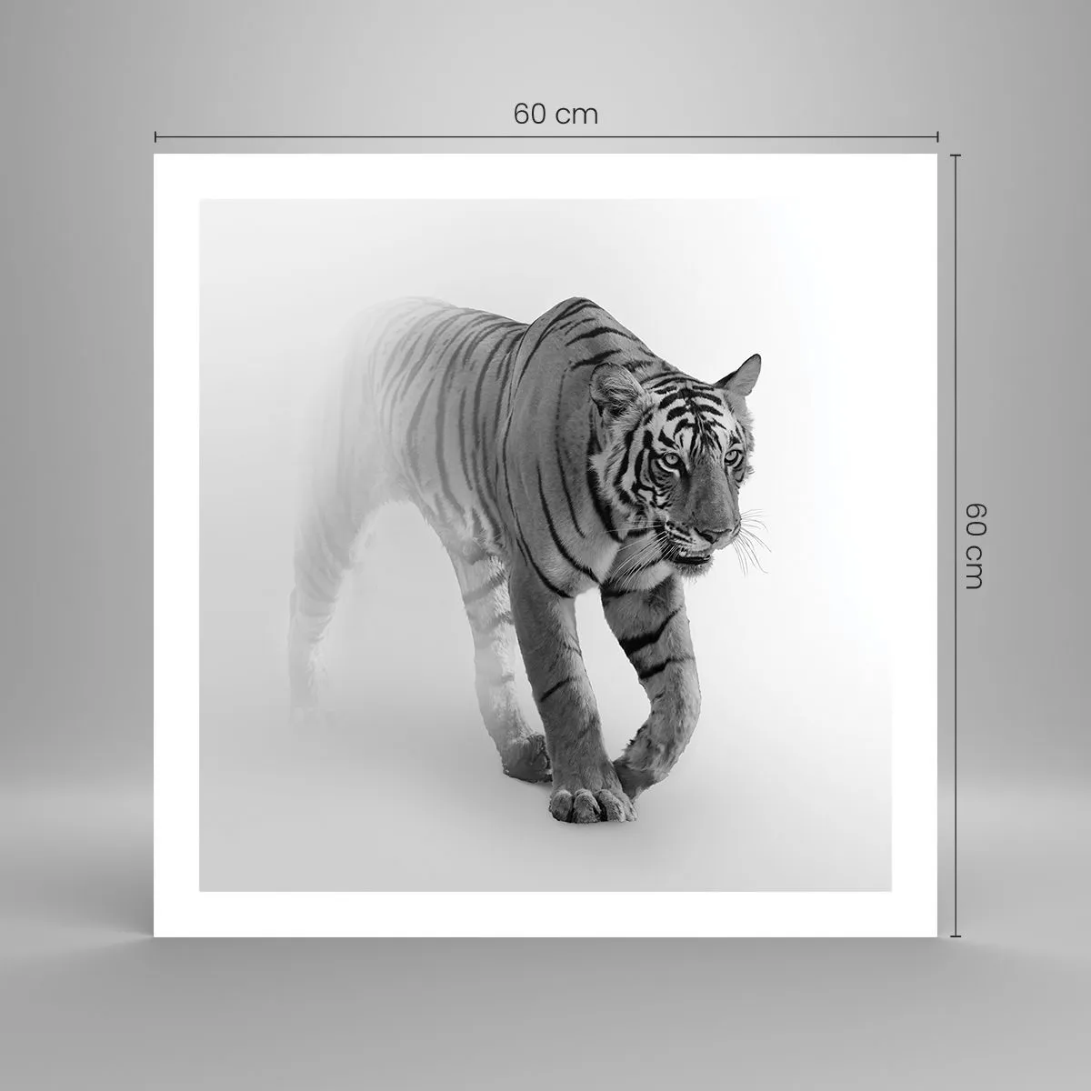 Póster - Siempre alerta entre la niebla - 60x60 cm