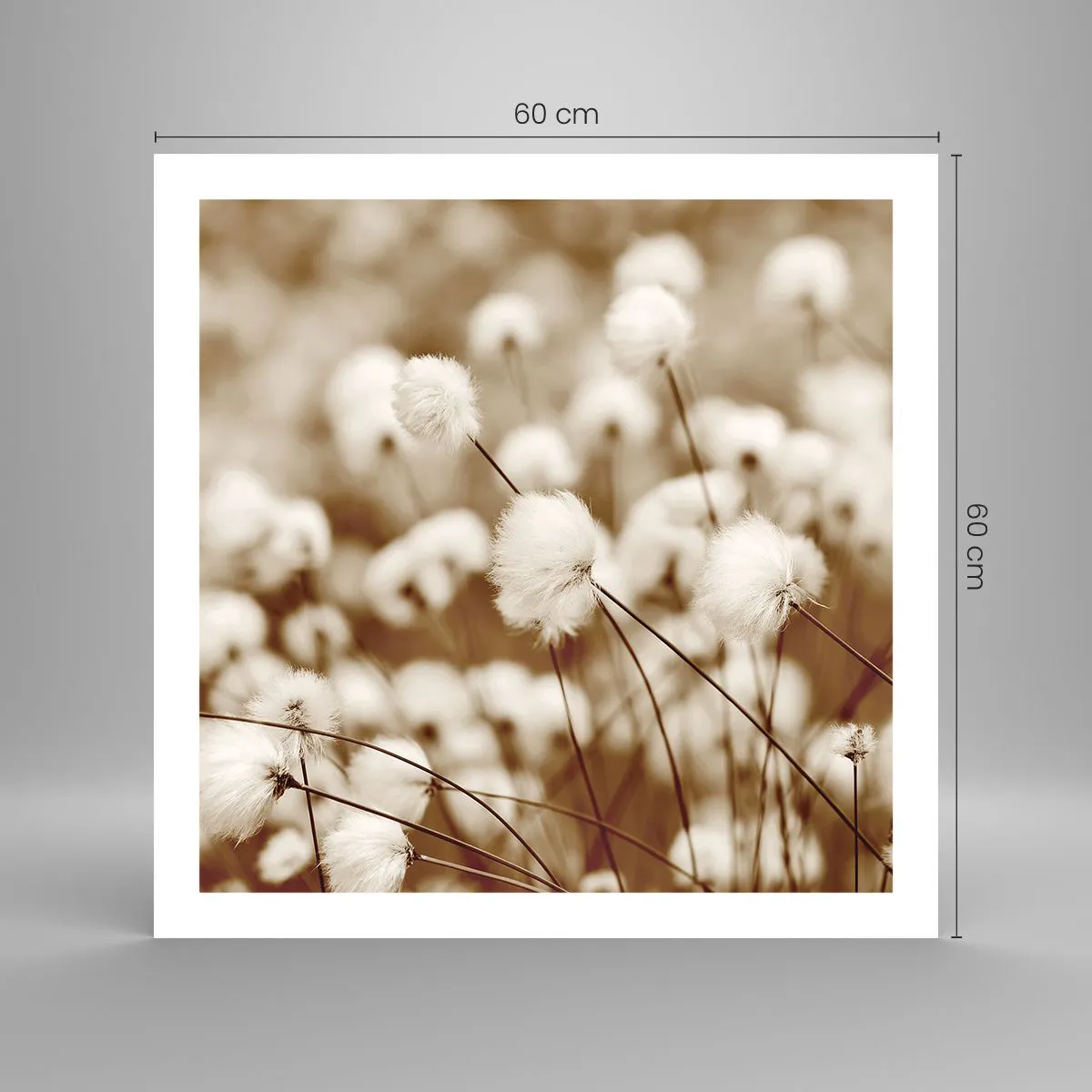 Plakat - Puszysty łan - 60x60 cm