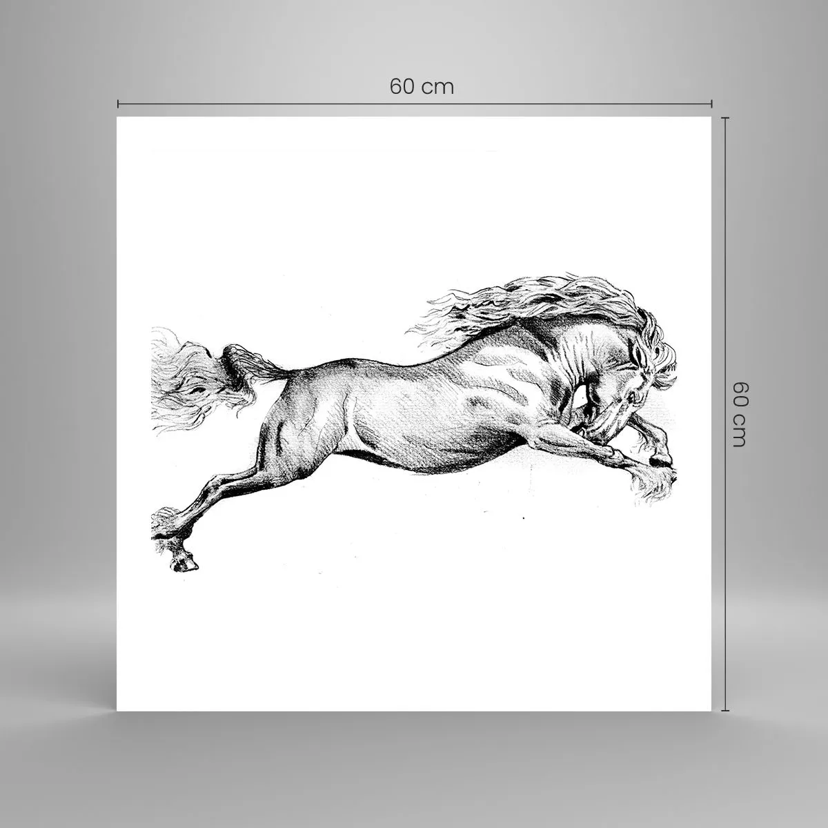 Affiche - Poster - Immortalisé au galop - 60x60 cm