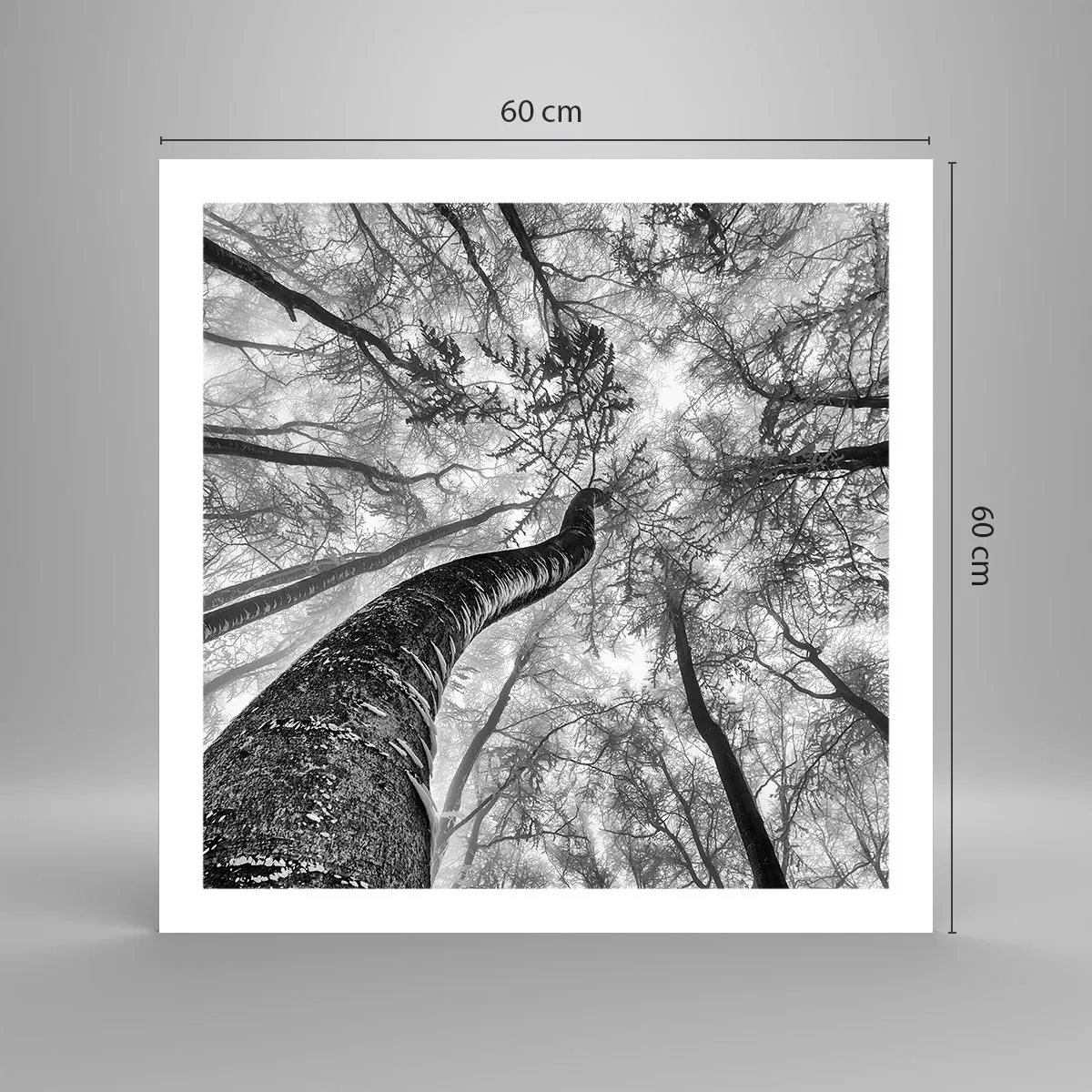 Plakat - Kapløb mod lyset - 60x60 cm