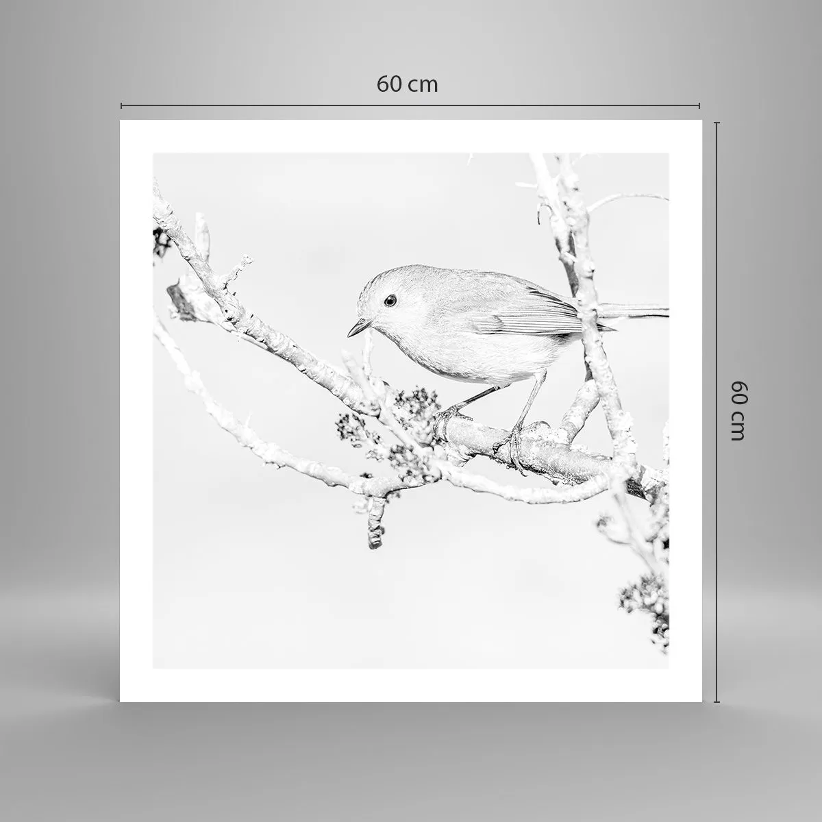 Poster - Winterochtend - 60x60 cm