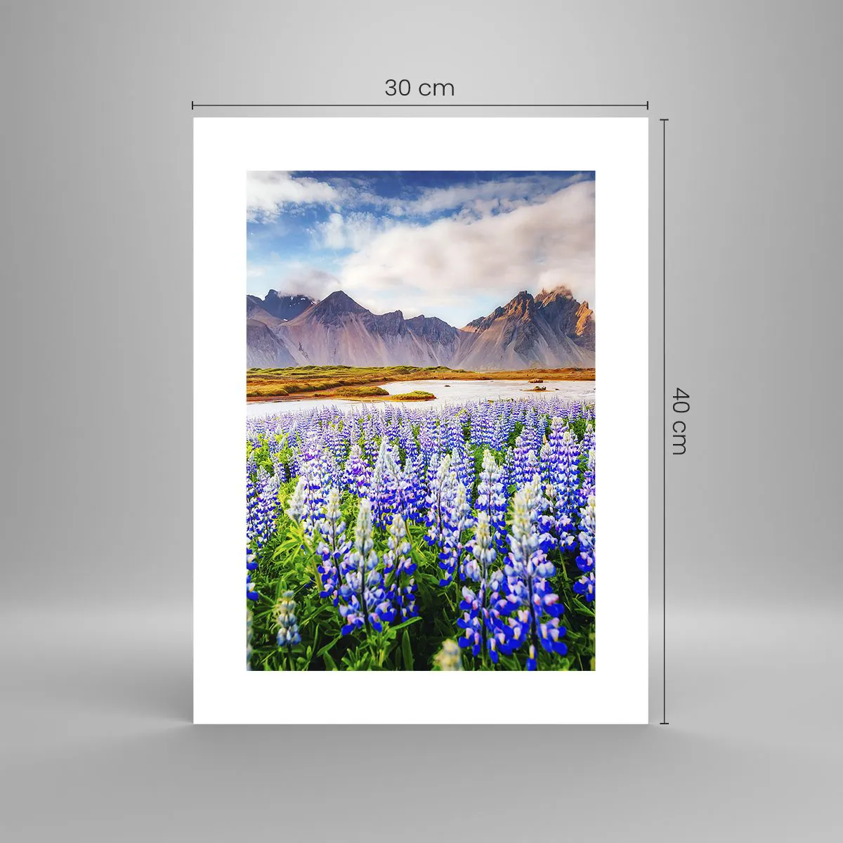 Poster - Kracht en soberheid naast zachtheid - 30x40 cm