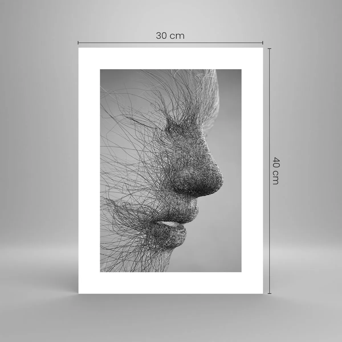 Affiche - Poster - L'esprit du vent - 30x40 cm