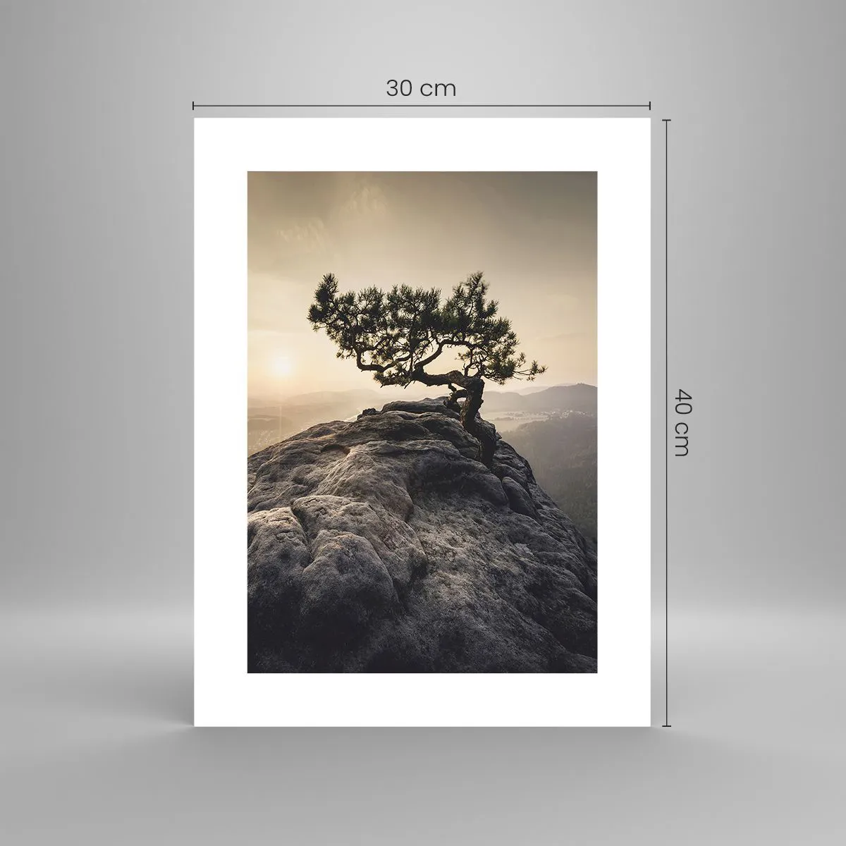 Plakat - Życie zawsze zwycięża - 30x40 cm