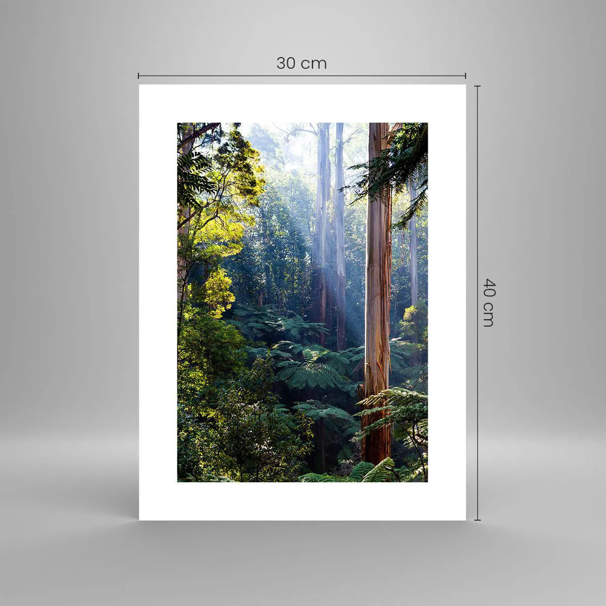 Plakát - Povídka lesa - 30x40 cm