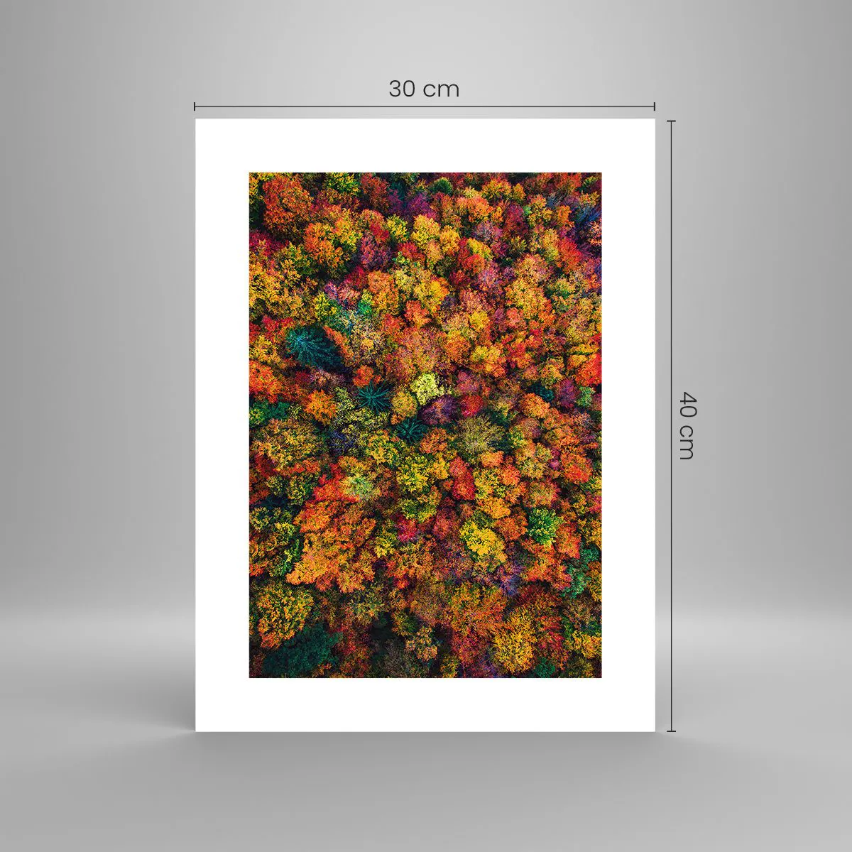 Plakát - Kytice podzimních stromů - 30x40 cm