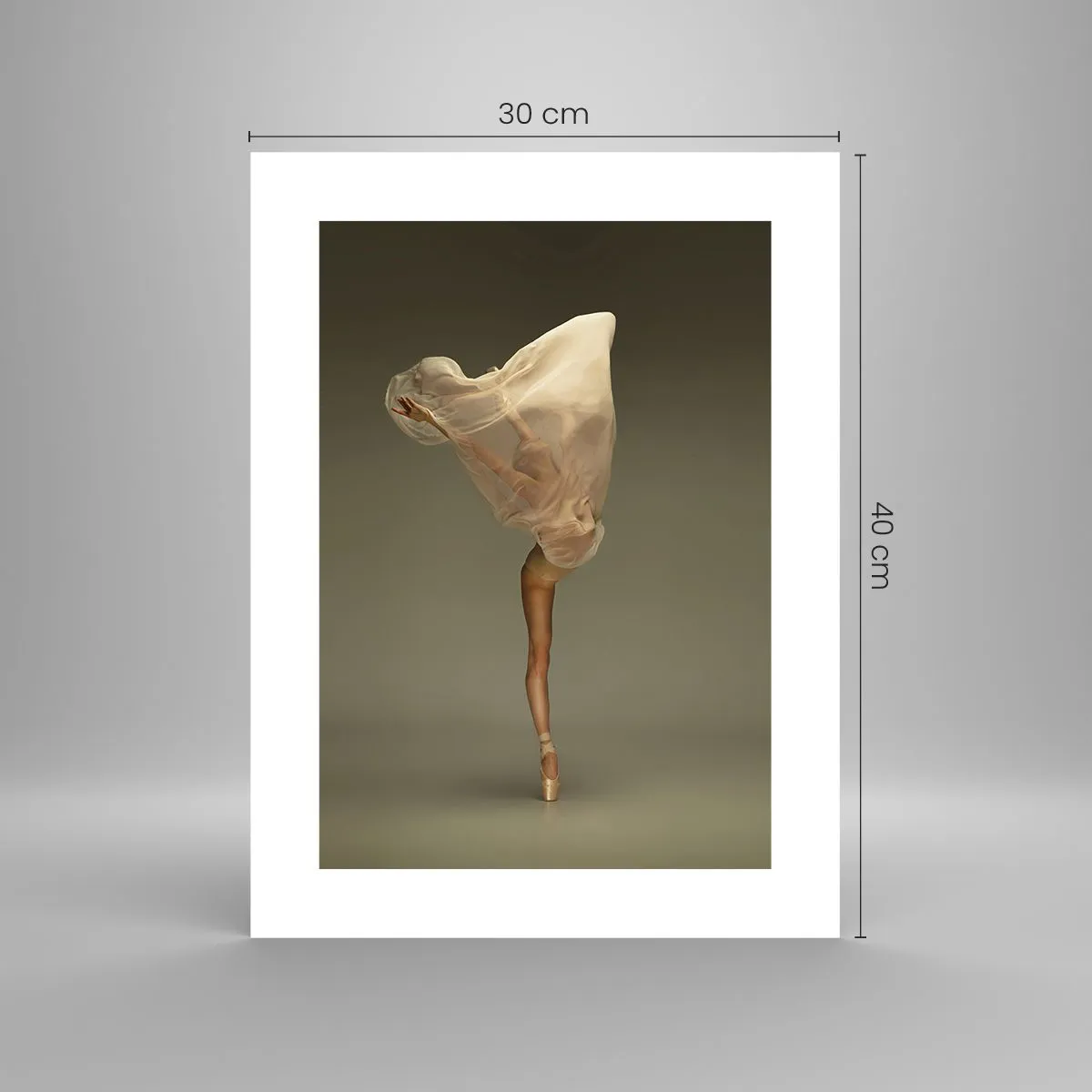 Affiche - Poster - Il va bientôt s'envoler - 30x40 cm