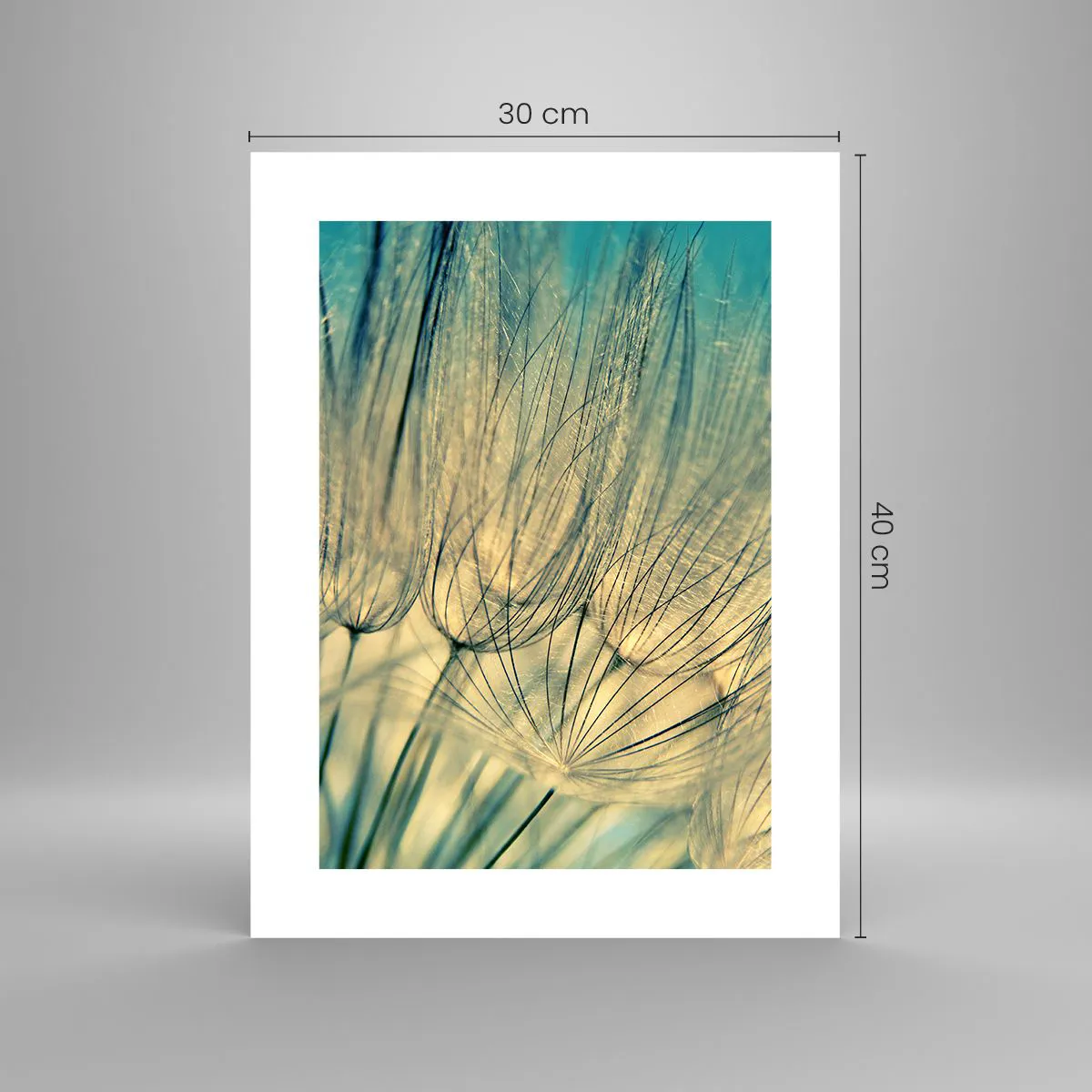 Affiche - Poster - En attente du vent - 30x40 cm