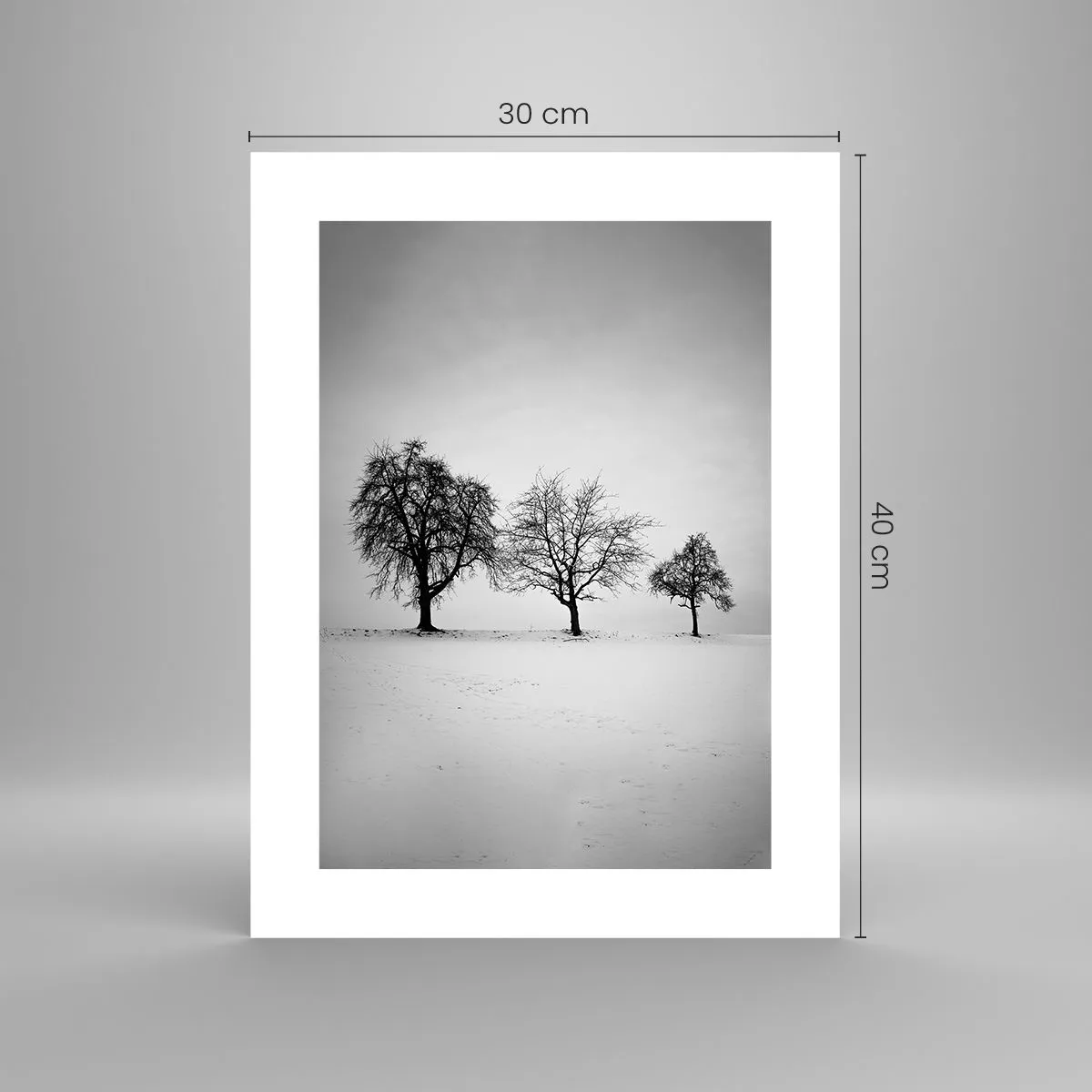 Plakat - O czym śnią? - 30x40 cm