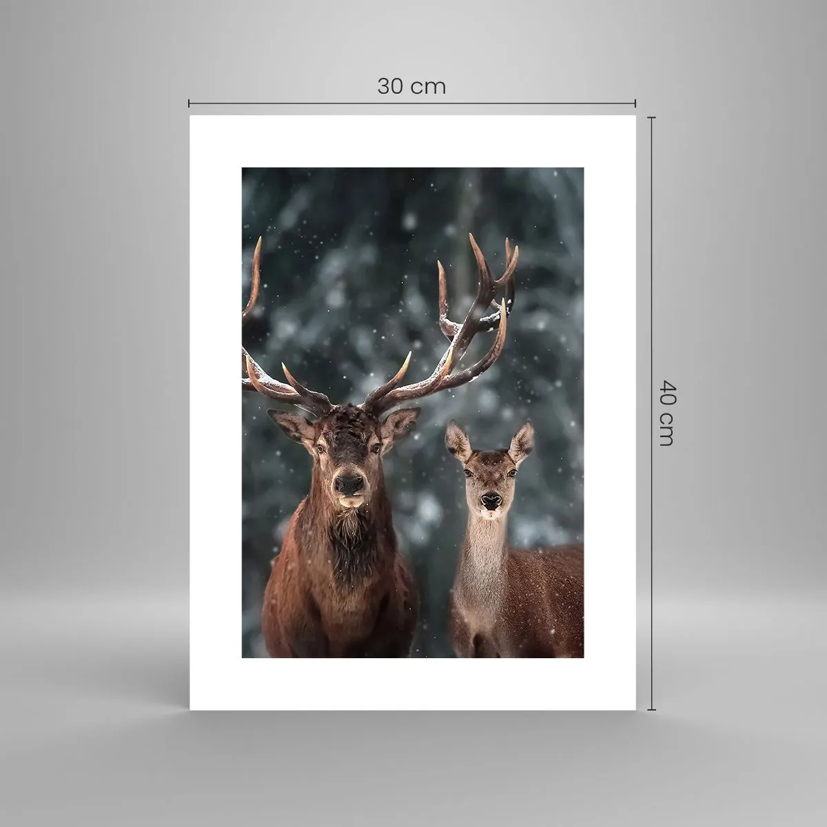 Poszter - Az erdő ura a feleségével - 30x40 cm