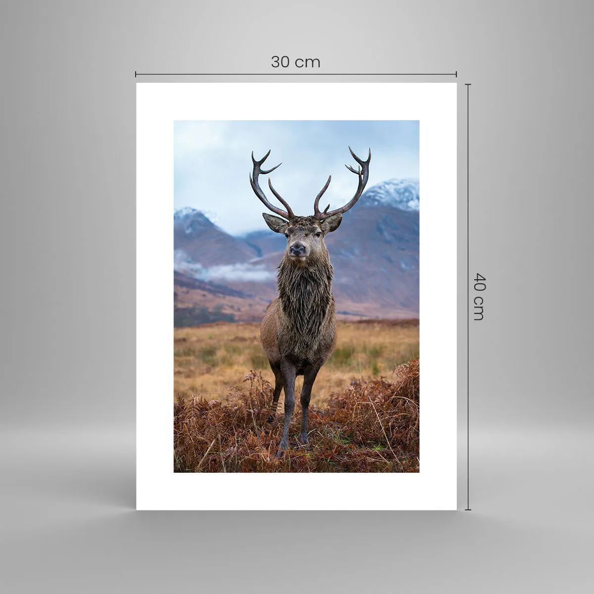 Poster - On Your Own Land - 30x40 cm