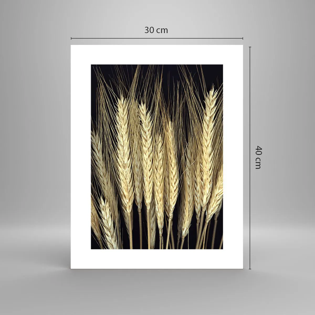 Poster - Rustic Magic - 30x40 cm