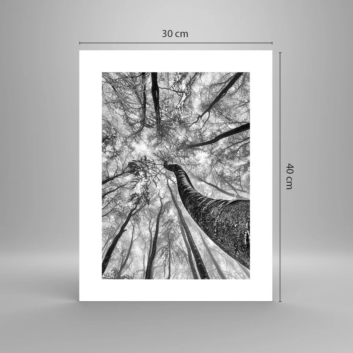 Affiche - Poster - Course vers la lumière - 30x40 cm