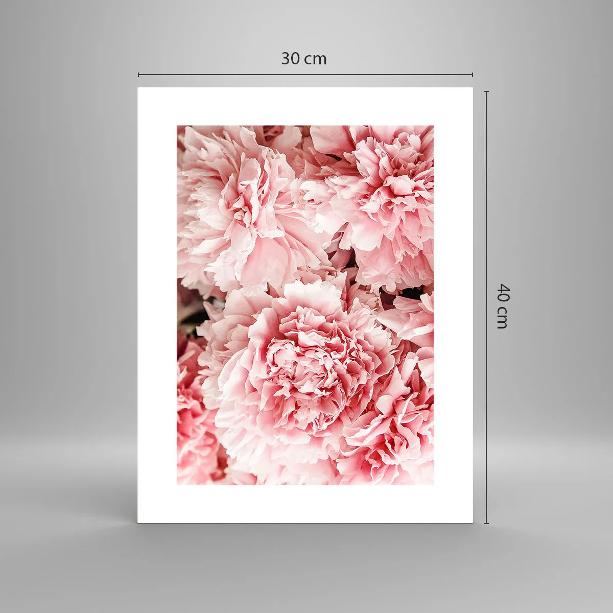 Affisch - Rosa dröm - 30x40 cm