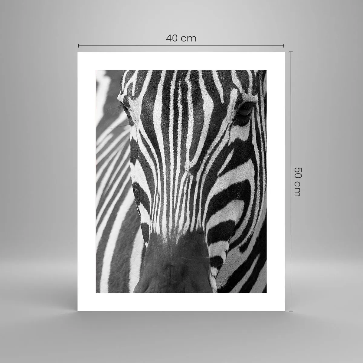 Poszter - A világ fekete-fehér - 40x50 cm