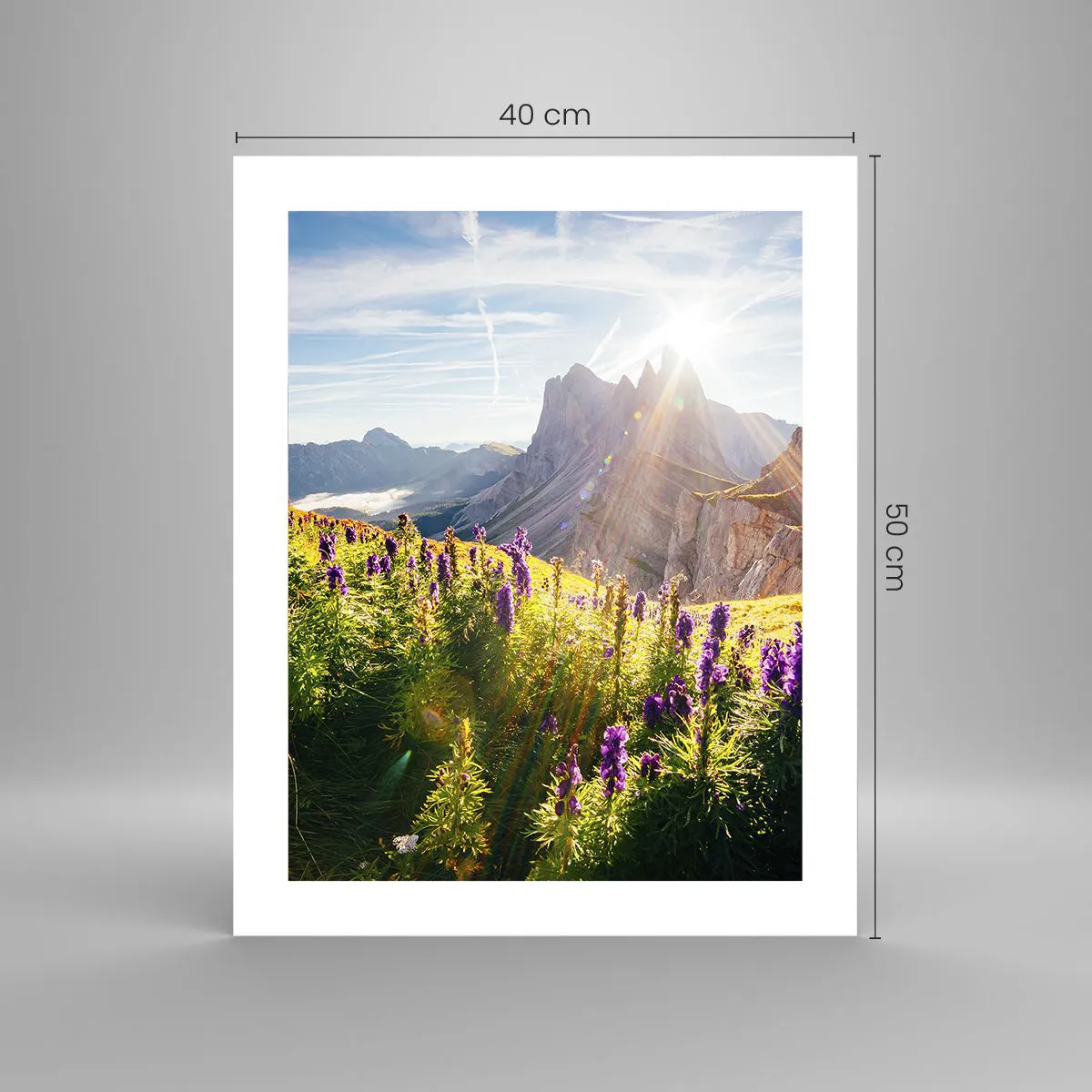 Plakát - Tajemný život bylin - 40x50 cm