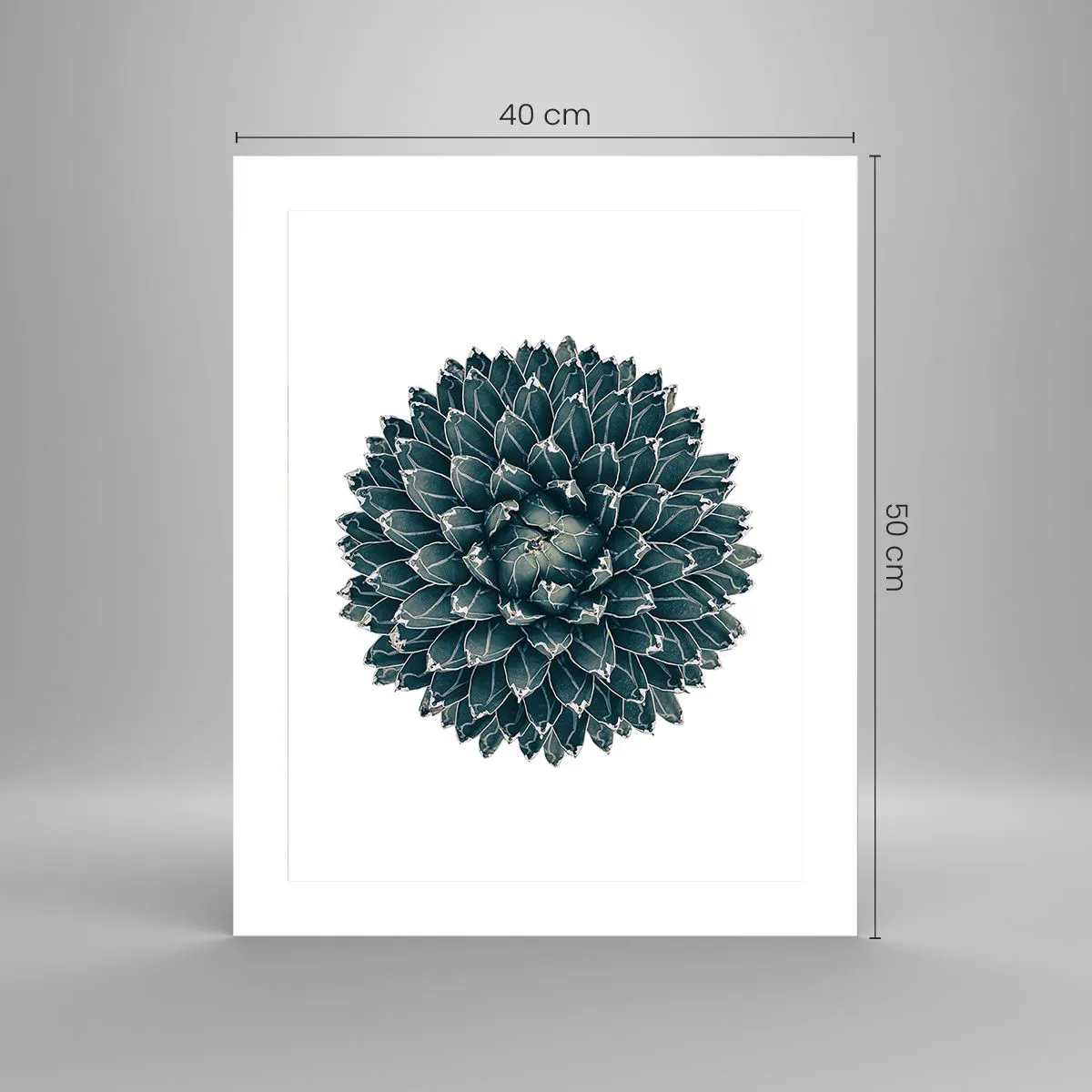 Plakat - Ørkenstjerne - 40x50 cm