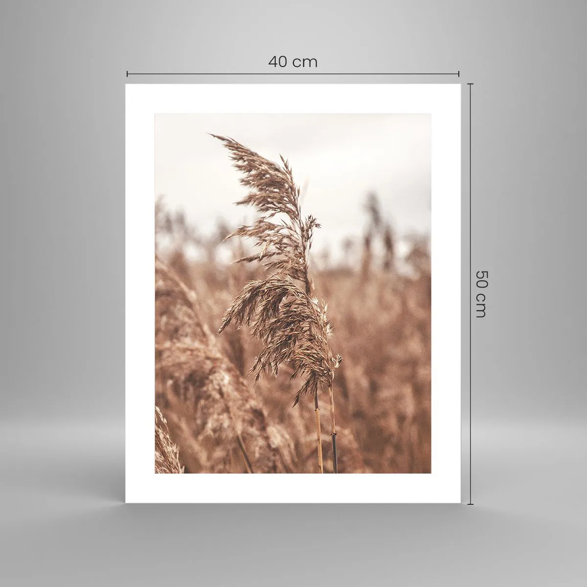 Plakát - Na polích už je podzim - 40x50 cm