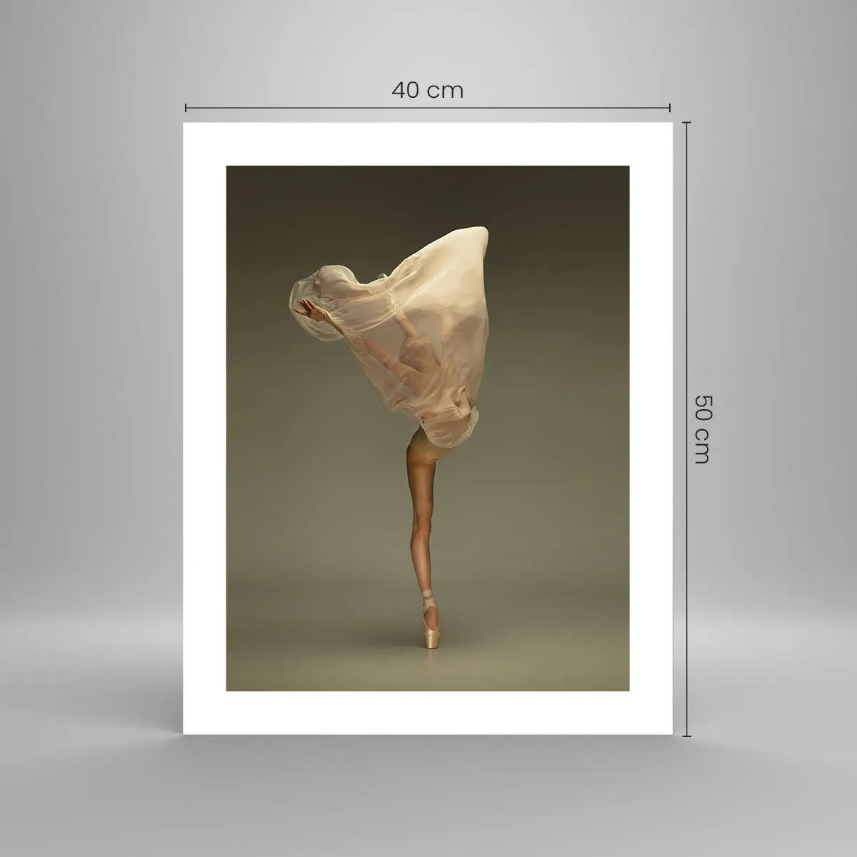 Affiche - Poster - Il va bientôt s'envoler - 40x50 cm