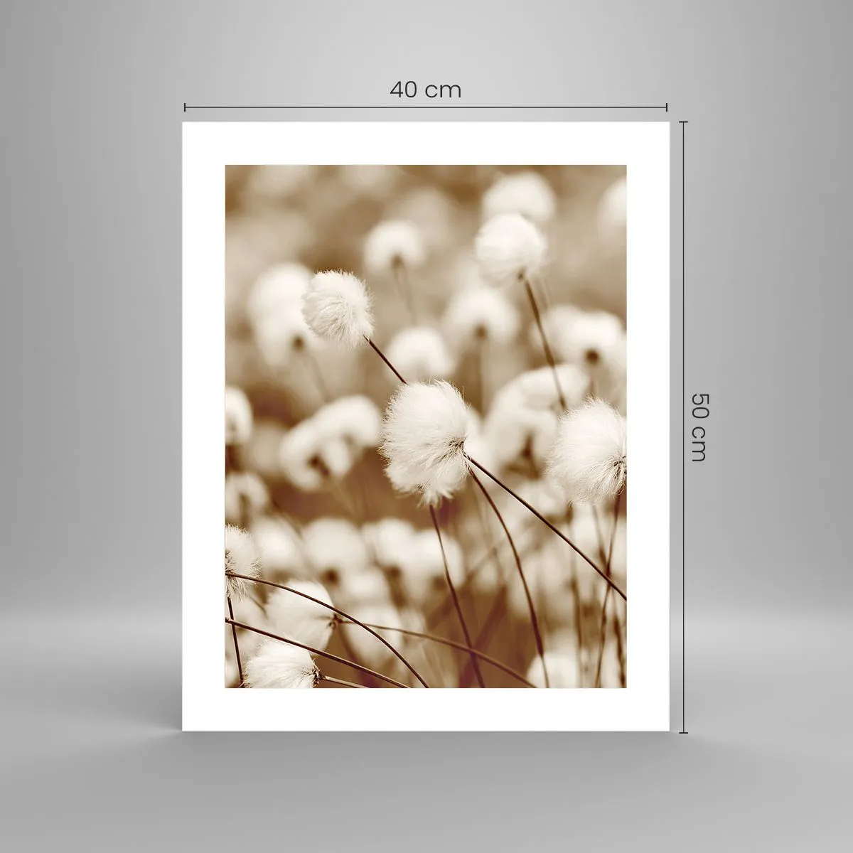 Poster - Flauschiges Kornfeld - 40x50 cm