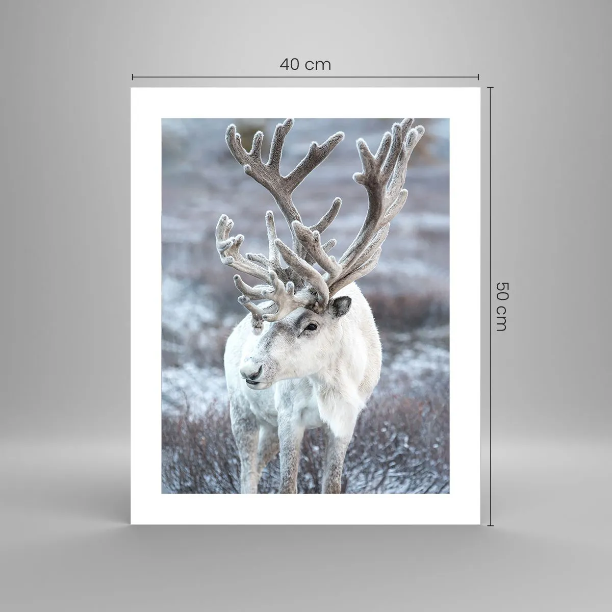 Poster - Portrait in the Sun - 40x50 cm